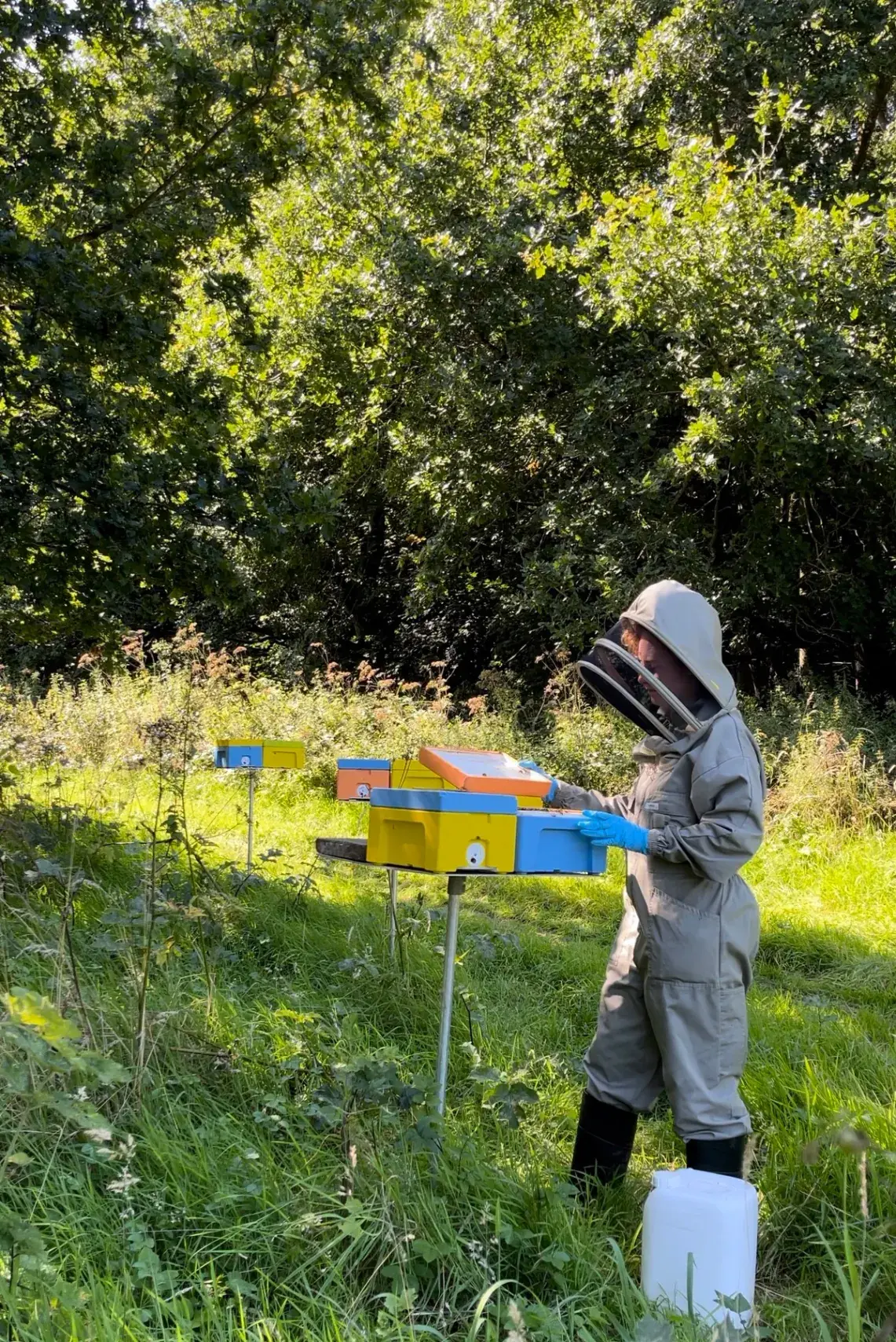 A beekeeper tending brightly painted hives in long grass