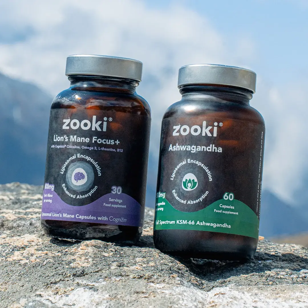 Two Zooki supplement jars on a rock outdoors